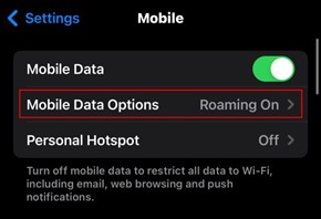 Screenshot: Mobile data options